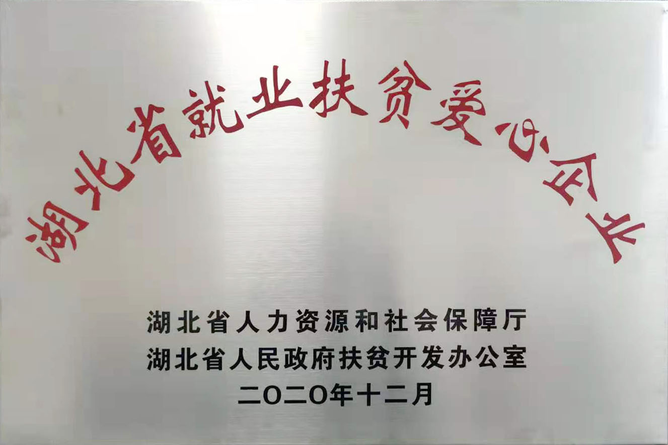 湖北省就(jiù)業扶貧愛心企業2020